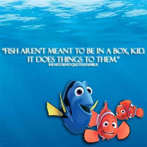 Fish aren't meant to be in a box. Finding Nemo quote. | Disney quotes, Nemo quotes, Finding nemo ...