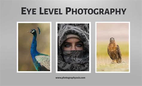 Eye Level Photography – How It Helps to Improve Images? - PhotographyAxis