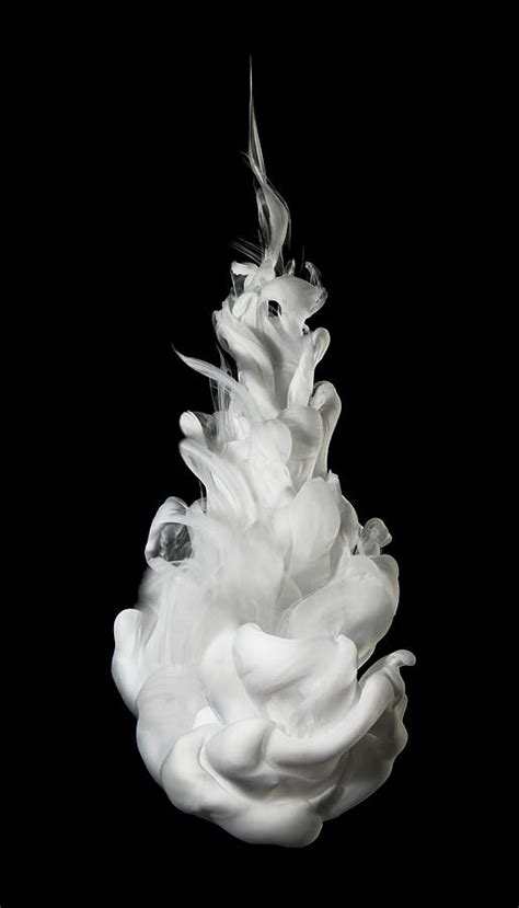 White Ink In Water On Black Background Photograph by Biwa Studio - Fine Art America