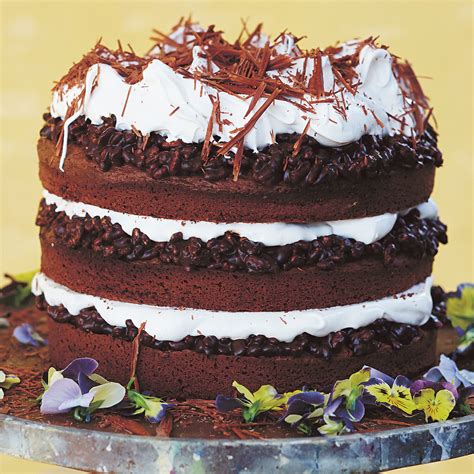 Jamie's Chocolate Celebration Cake Recipe | Woolworths