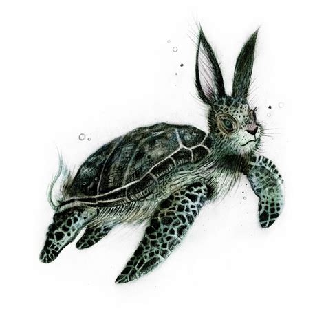 Illustration by Sharlena Wood | Animals, Animal drawings, Animal art