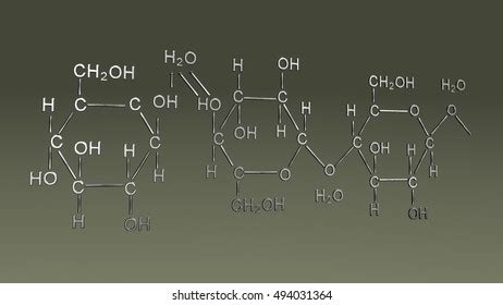 Cellulose Structure 3d Illustration Stock Illustration 494031364 | Shutterstock