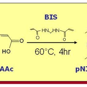 2 Schematic of Synthesis of pNIPAm-co-AAc microgel. | Download ...