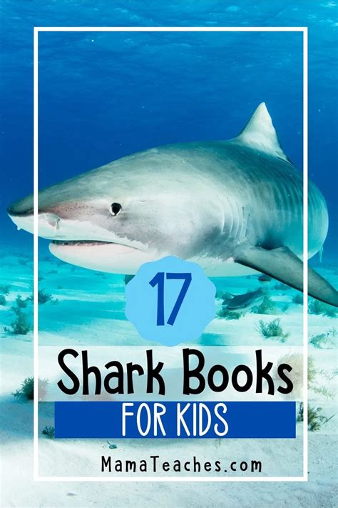 17 Super Awesome Shark Books for Kids - Mama Teaches