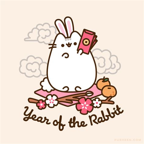 Rabbit Outline The Y Guide - vrogue.co