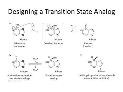 PPT - Enzyme Mechanisms PowerPoint Presentation, free download - ID:2683471