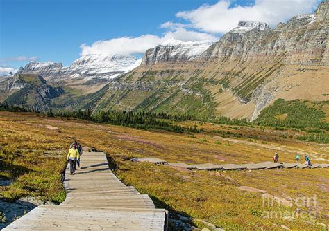 Wooden Steps Hiking from Logan Pass on Hidden Lake Overlook Trail ...