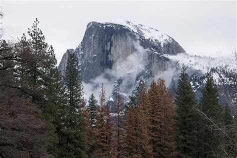 Winter Camping in Yosemite: What You Need to Know - Sights Better Seen