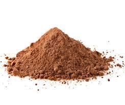 reishi powder | Botanical Health - Jane Deans