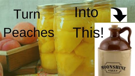 How To Make Easy Homeade Peach Moonshine ( brandy ) Mash or Peach Wine Recipe Homemade - YouTube