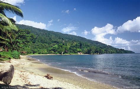 Masoala National Park Rainforest Reef Whale Watching holiday