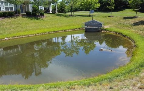 retention ponds - IDEAS For Us