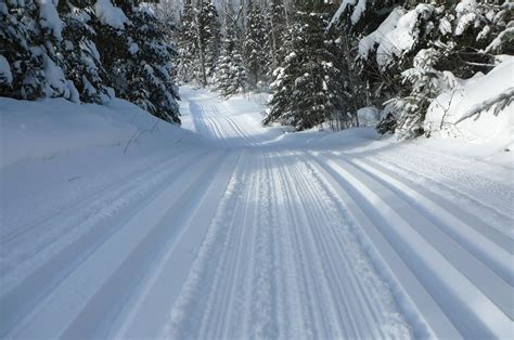 Gunflint Trail Cross Country Ski Trails | Explore Minnesota