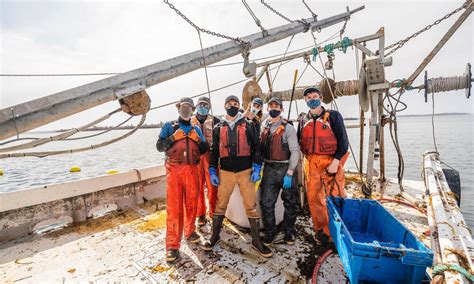 Why seaweed farming matters in Maine | Stories | WWF