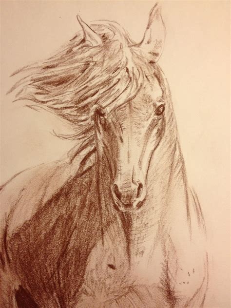 Horse Head Sketch 2 by theblindalley on DeviantArt