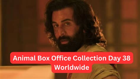 Animal Box Office Collection Day 38 Worldwide Collection Till Now