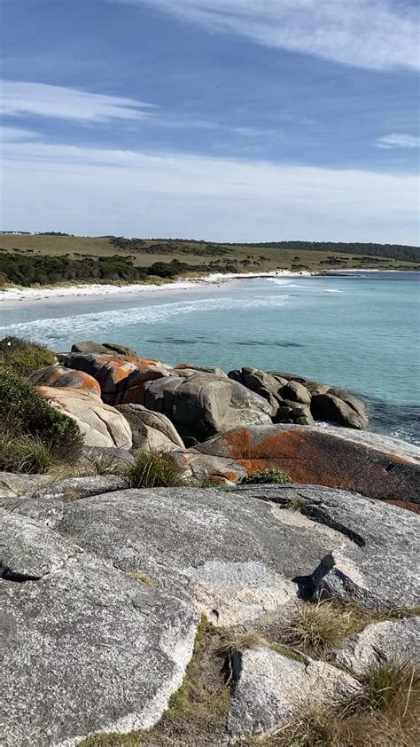 Bay of fires tasmania everything you need to know in 2023 – Artofit