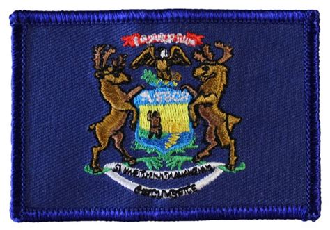 Buy Michigan Rectangular Patch | Flagline