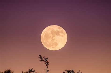 Moonrise Wallpapers - Top Free Moonrise Backgrounds - WallpaperAccess