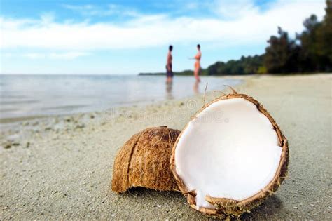 Opened Coconut on Sandy Beach Stock Image - Image of food, ocean: 34835177