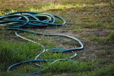 Free picture: plastic hose, green grass, nature, object, tool, material, outdoor, lawn