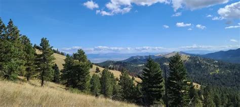 10 Best Hikes and Trails in Helena National Forest | AllTrails