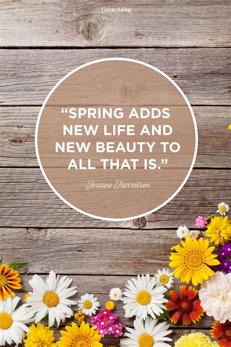 The Sweetest Spring Quotes to Welcome the Season of Renewal | Spring ...