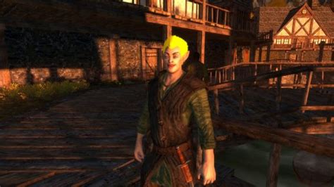 The Adoring Fan In Skyrim NPC - Skyrim Special Edition Mod データベース MOD紹介 ...