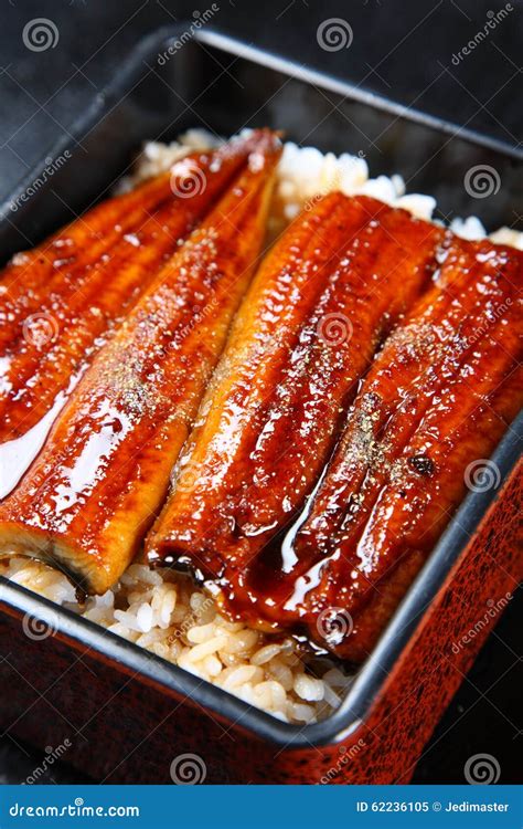 Broiled eels on rice stock image. Image of healthy, meal - 62236105