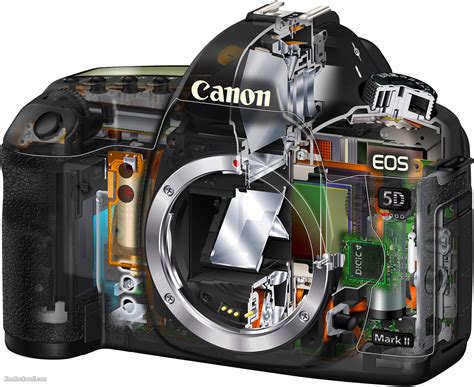 Canon Camera Repair Center. | Camera Repair