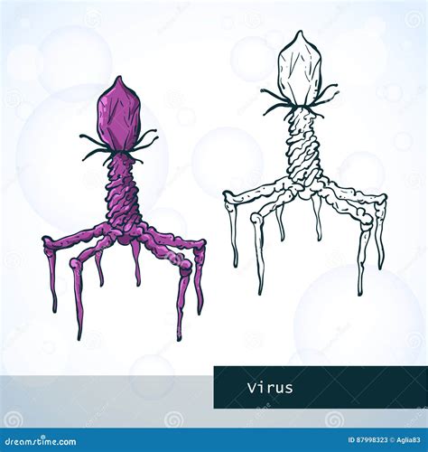 Structure of virus stock vector. Illustration of life - 87998323