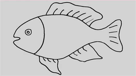 How to draw a fish. Animation and entertainment for kids - YouTube ...