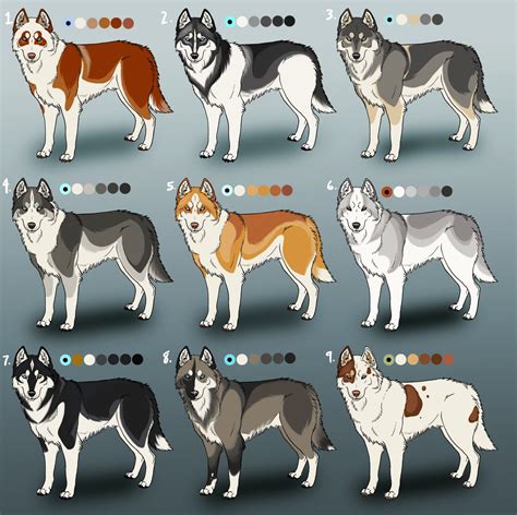 Siberian Husky Color Chart