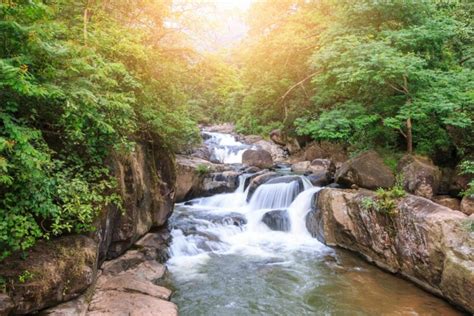 Beautiful nature near Bangkok to visit when you need to recharge | Thaiger