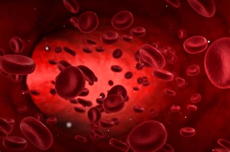 4 Jenis Kelainan Darah yang Memengaruhi Sel Darah Merah