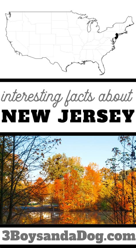 Interesting Facts about New Jersey for Kids