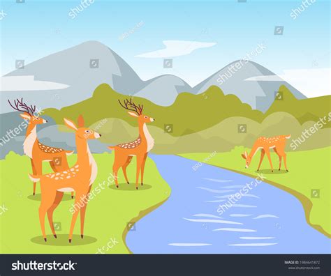 Top more than 74 deer drinking water sketch best - seven.edu.vn