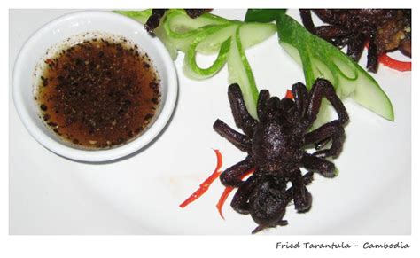 Top 10 Weirdest Food in Asia - Ramble and Wander