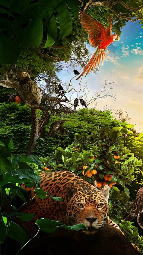 Jungle Animal Wallpaper