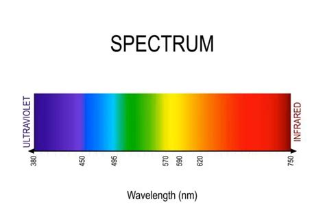 Wavelength of Red Light - Red Light Clinic