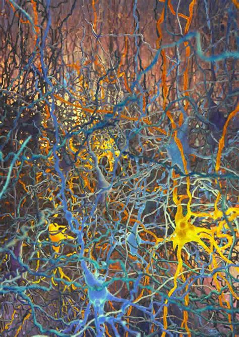 Neuroscience art, Brain art, Biology art