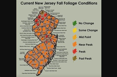 Best fall colors in N.J.? New foliage maps show the brightest locations to visit. - nj.com