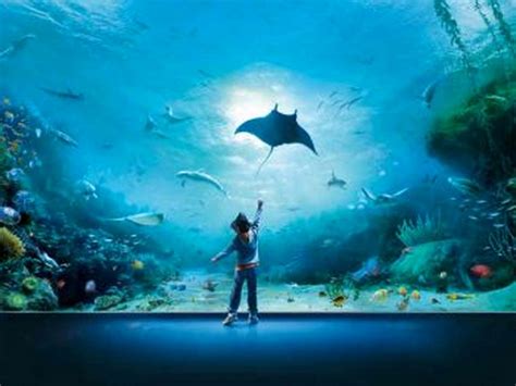 CRIKVENICA-AQUARIUM | VIA turistička agencija