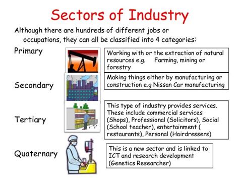 what are the sectors of the Indian economy explain in detail - 9365615 ...