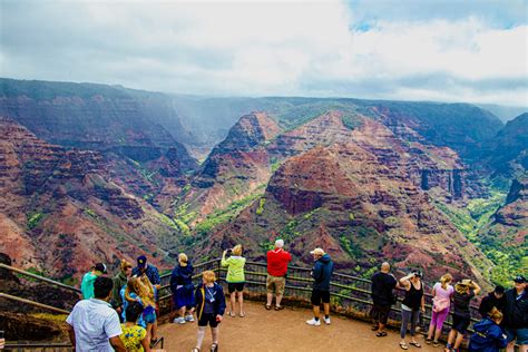 Waimea Canyon & Napali Cliff Top Hike | Kauaʻi Cliff Hike & Views