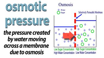 Osmotic Definition In English