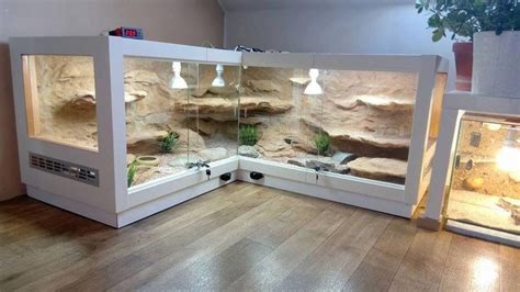 Very cool vivarium | Reptile terrarium, Snake terrarium, Reptile room