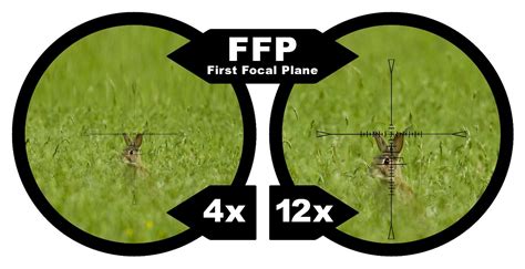 First and Second Focal Plane Scopes – How They Differ - MTC Optics ...