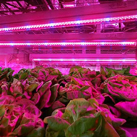 Full Spectrum T8 T5 Plant LED Grow Light Tube, LED Plant Grow Light Supplier