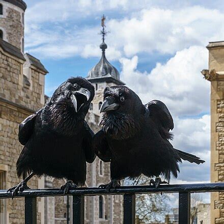 Tower of London - Wikipedia